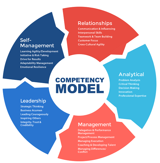 competency mastery. A draft competency model can help in compiling competency profiles, ensuring consistency across these profiles by using a template that includes sections for primary responsibilities, technical skills, soft skills, and behavioral competencies.